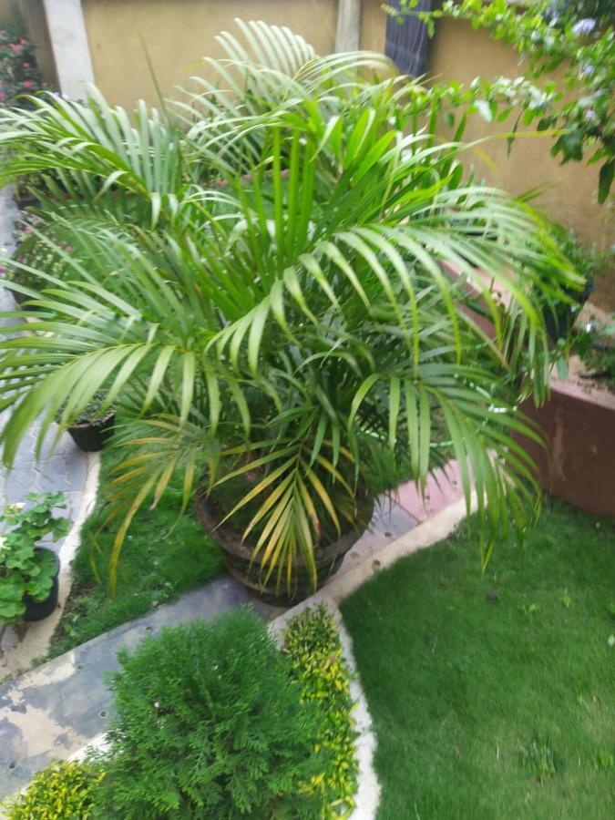 Rio Homestay Haputale Esterno foto