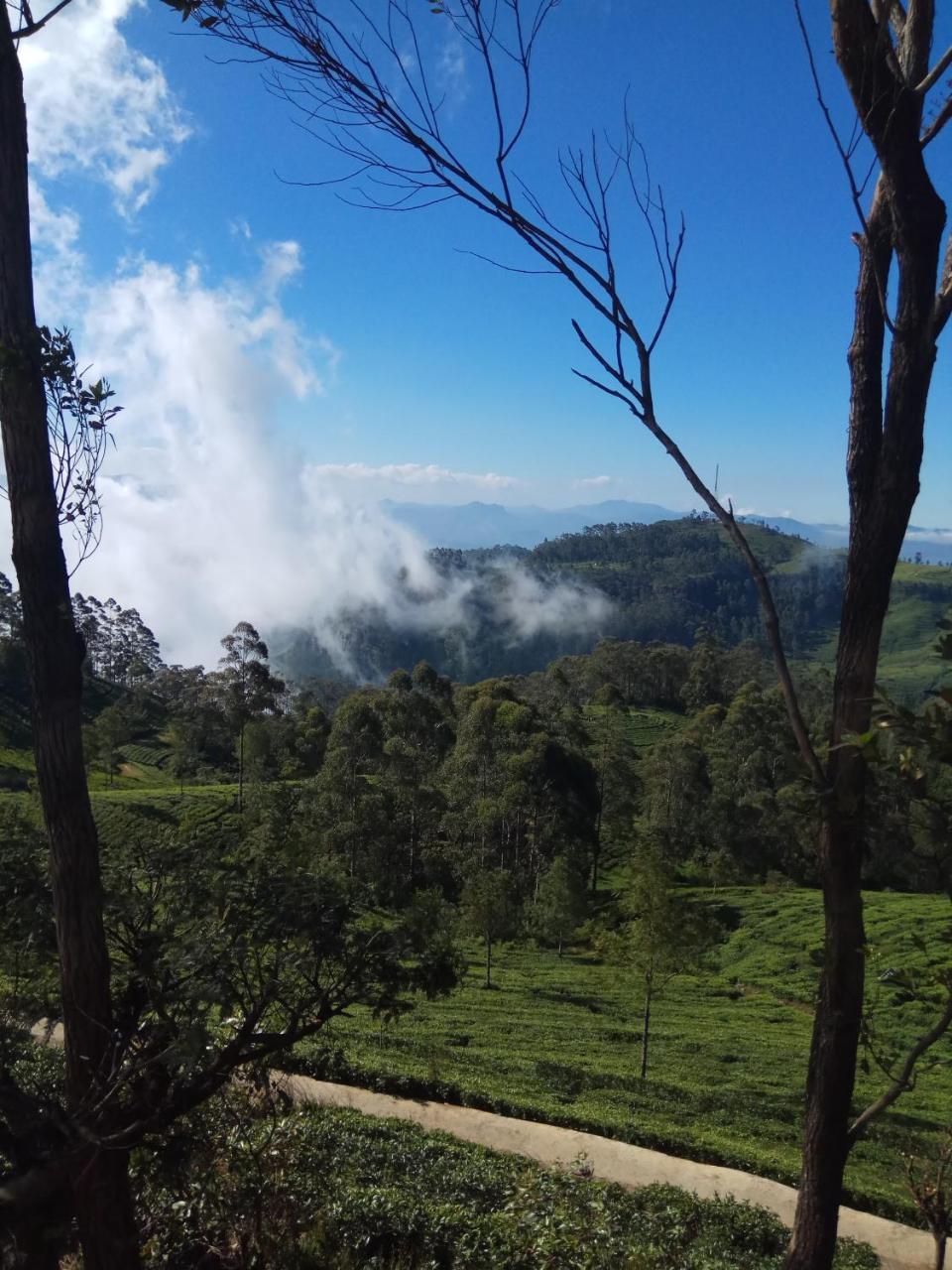 Rio Homestay Haputale Esterno foto
